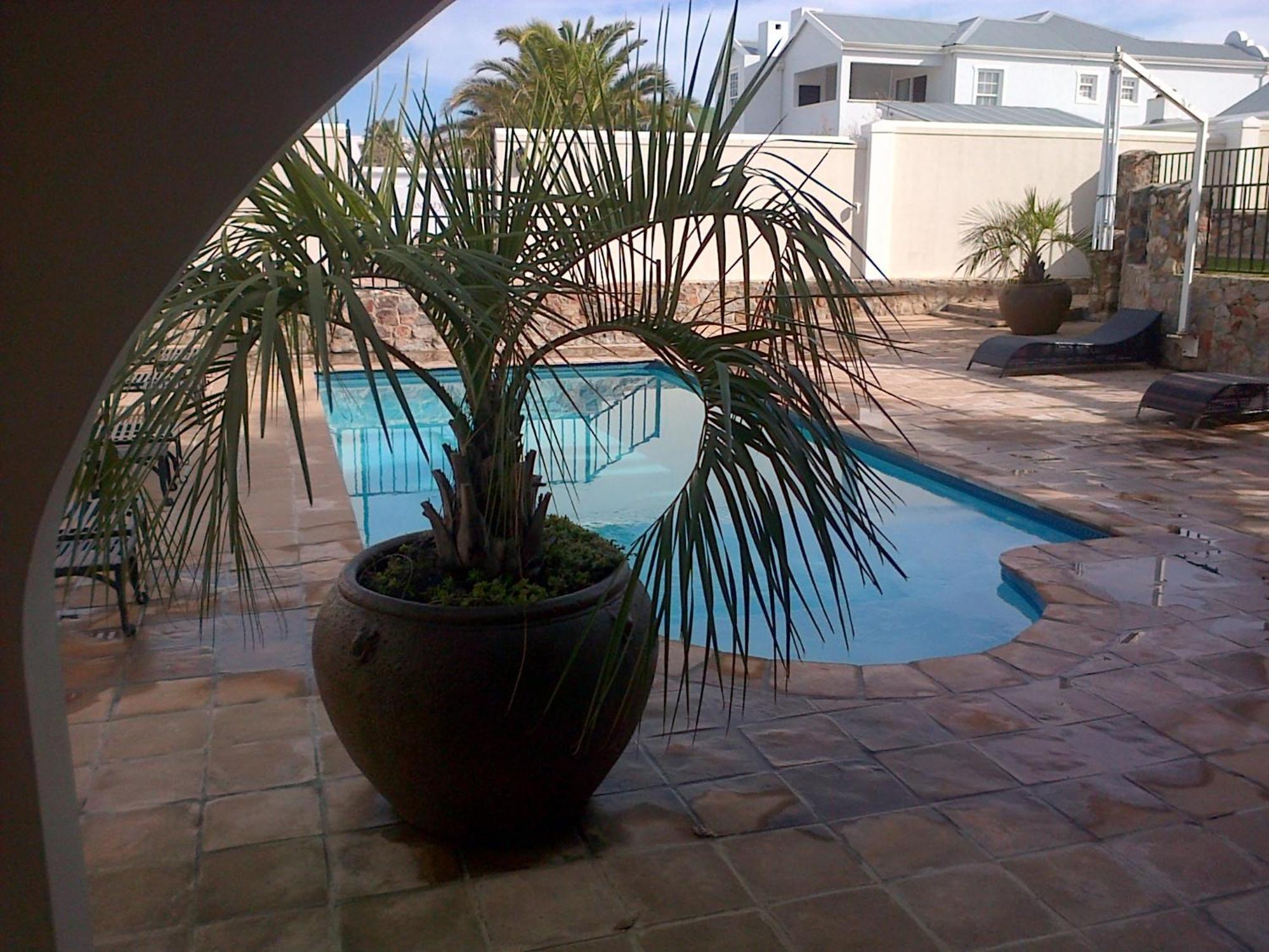 Nautilus Guest House Hermanus Εξωτερικό φωτογραφία