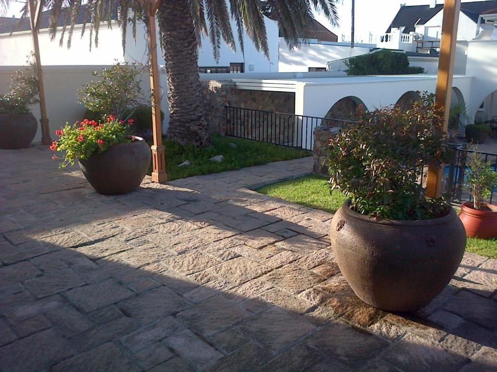 Nautilus Guest House Hermanus Εξωτερικό φωτογραφία